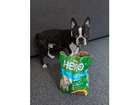 asda hero dry dog food